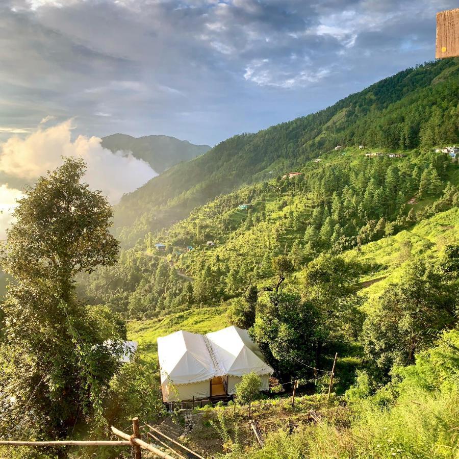 Moksham Himalayan Pangot *